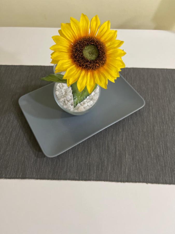 Apartment Sunflower021 诺威萨 外观 照片